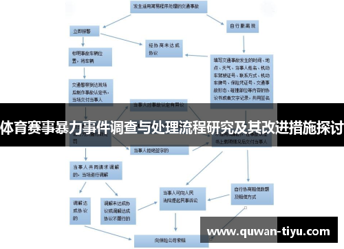 体育赛事暴力事件调查与处理流程研究及其改进措施探讨